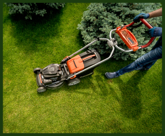 A person mowing a lawn with a push lawn mower.